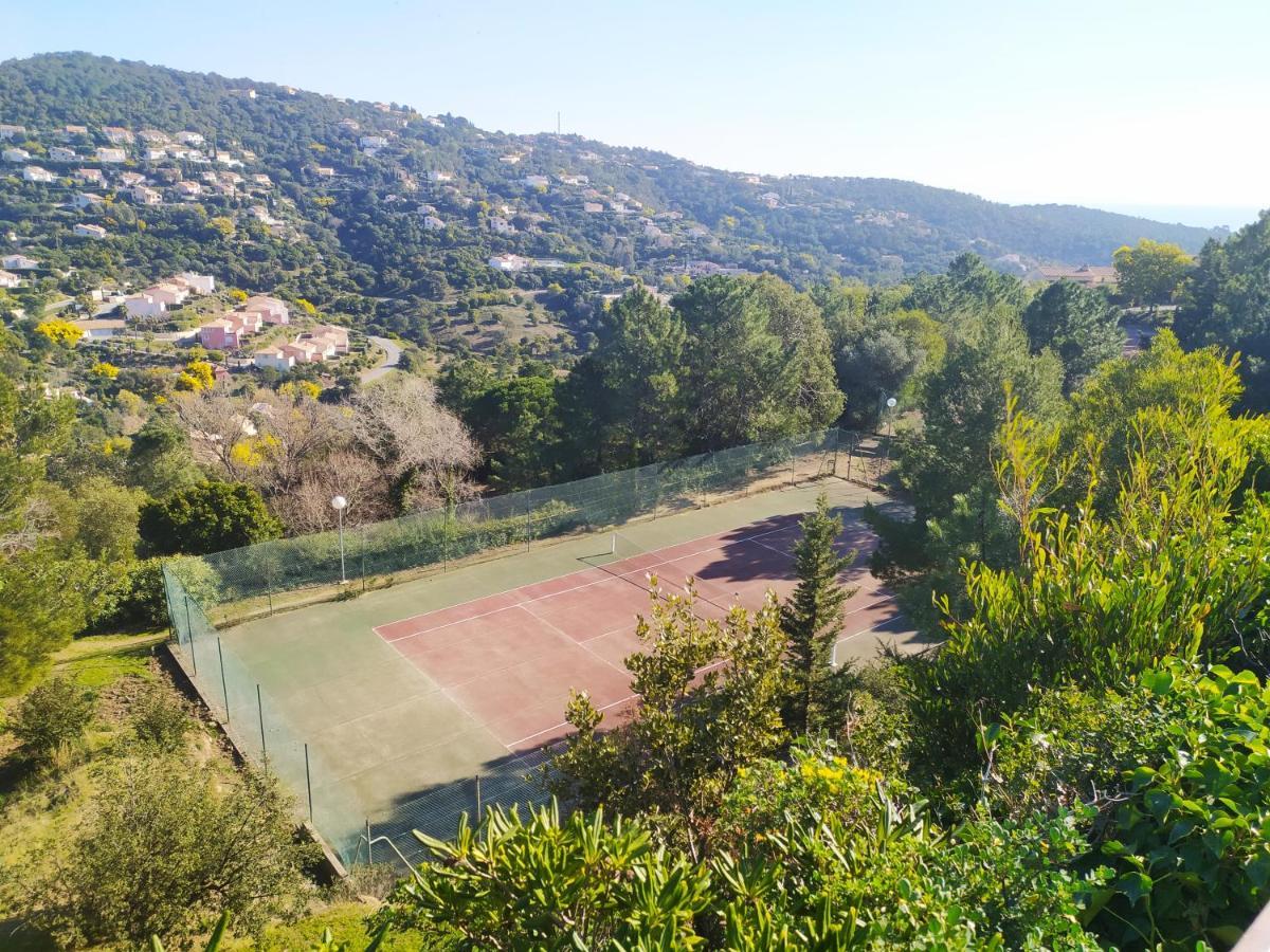 Vacance Location Mer Piscine Var Sud Terrasse Ле Исамбр Екстериор снимка